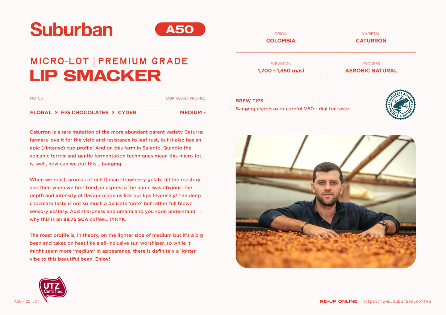 A50 - Lip Smacker / Caturron : COLOMBIA