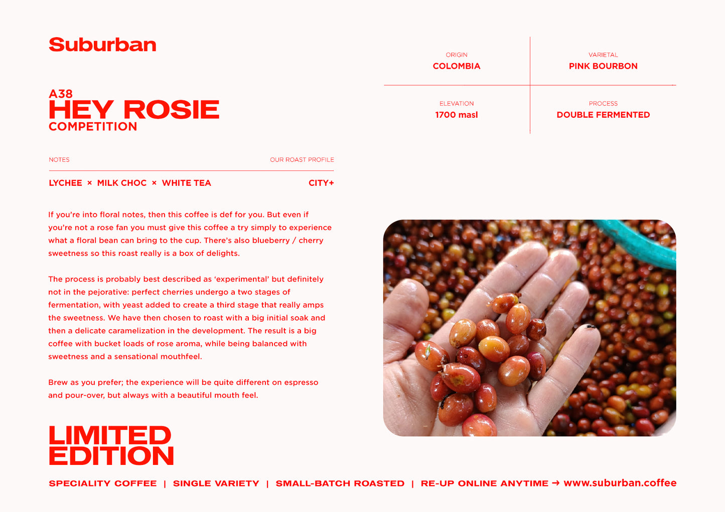 A38 - Hey Rosie : COLOMBIA