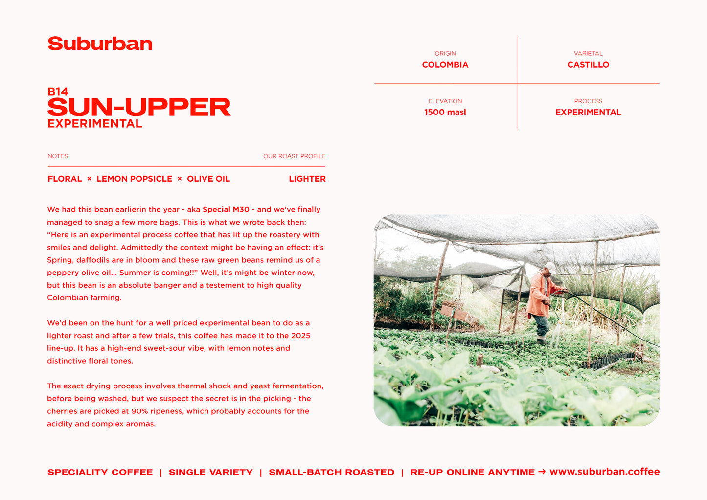 B14 - SUN-UPPER : COLOMBIA