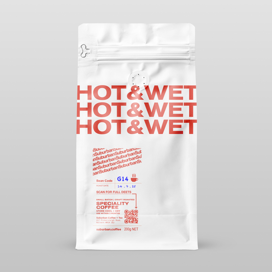 G14 - Hot & Wet : GUATEMALA