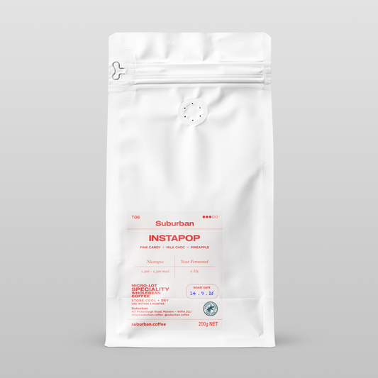 T06 - INSTAPOP : NICARAGUA